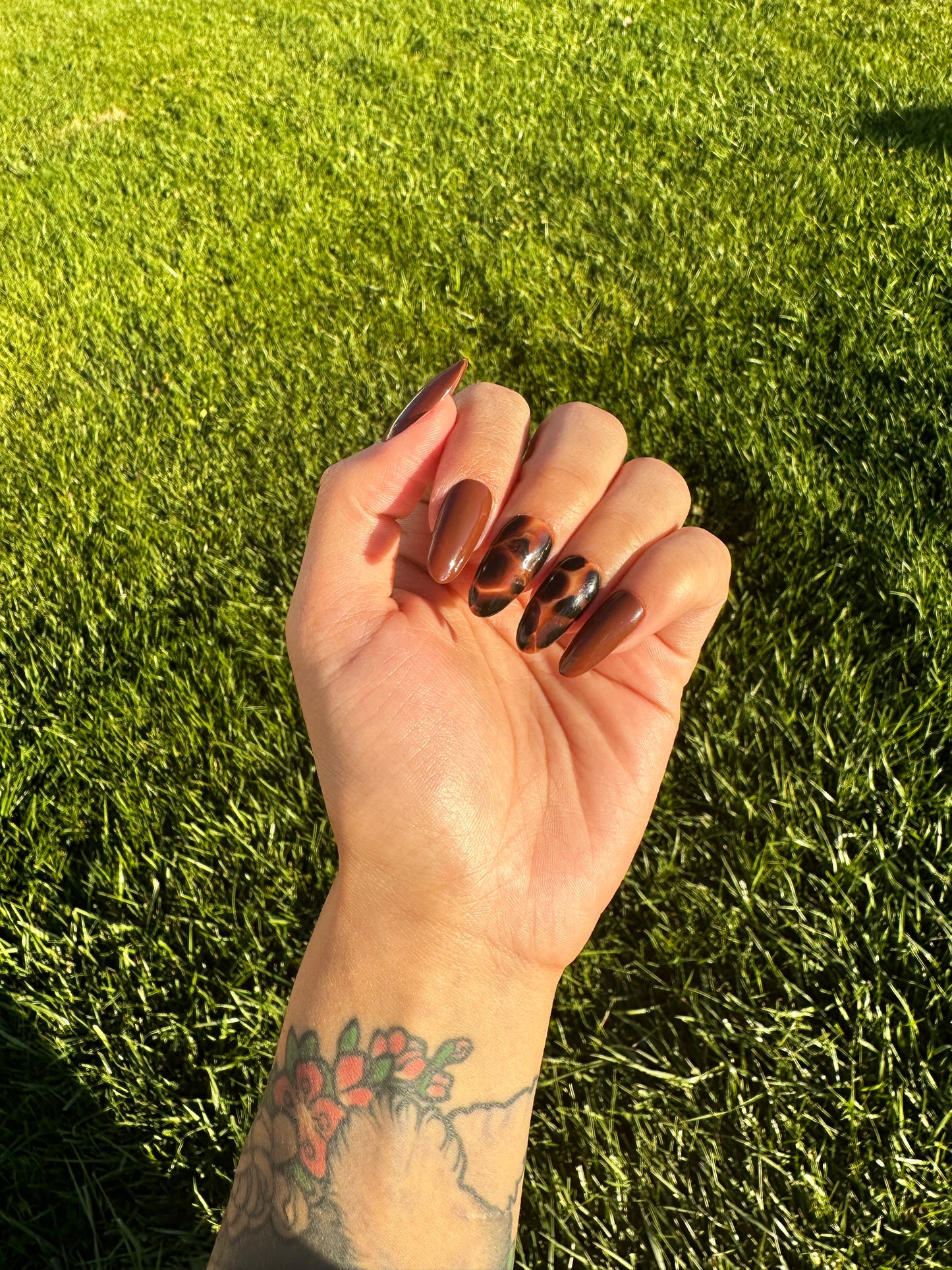 Tortoise Vibes