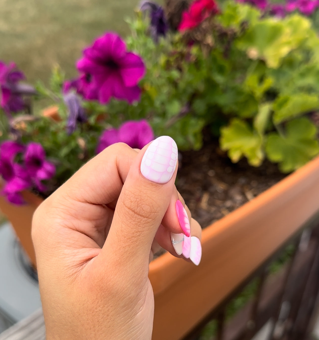 Crazy Pinks