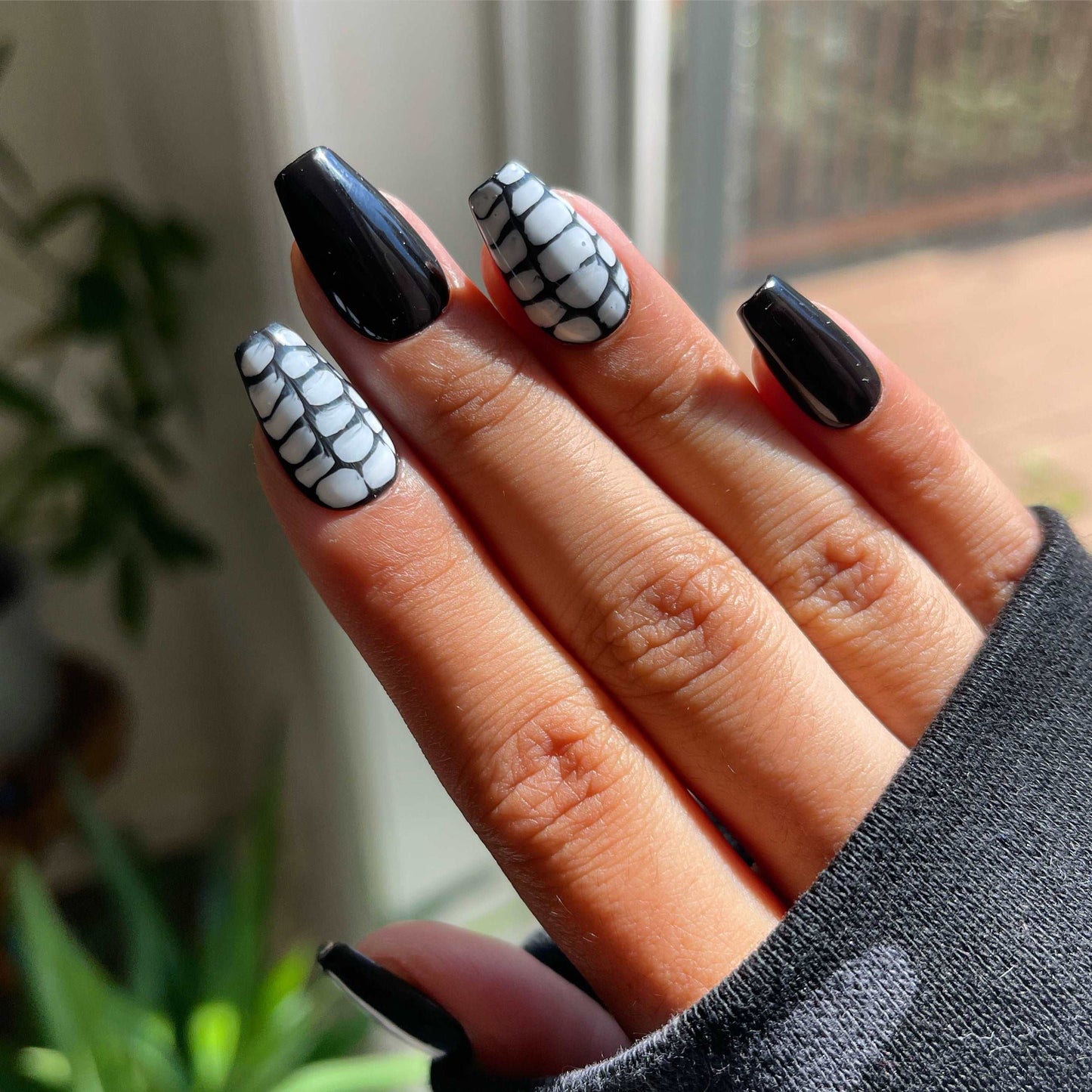 Black & White Crocodile